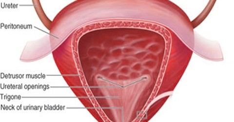 Acute-urinary-retention