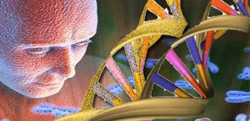 Genes and the genome revolution
