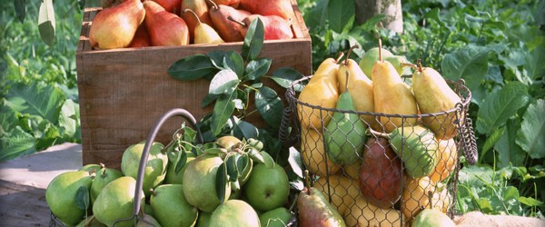Integrated-Health-Food Integrated-Health-Food