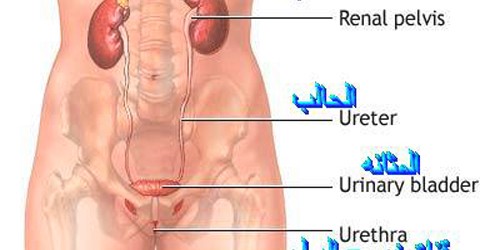 Masturbation for girls