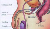 Masturbation-in-men