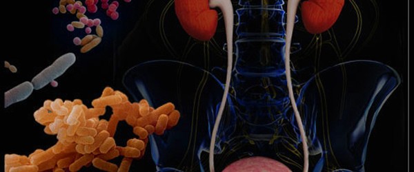 Urinary tract infections in children