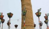 largest penis-china